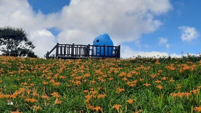 六十石山-貓貓蟲咖波 BUGCAT CAPOO--將另開視窗看原圖