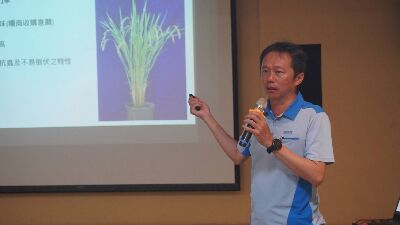 花蓮農改場黃佳興副研究員介紹適合有機栽培之水稻新品種及栽培特性--將另開視窗看原圖