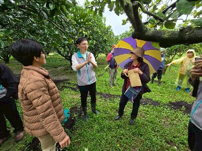 田間參訪講解覆蓋作物種植注意事項--將另開視窗看原圖