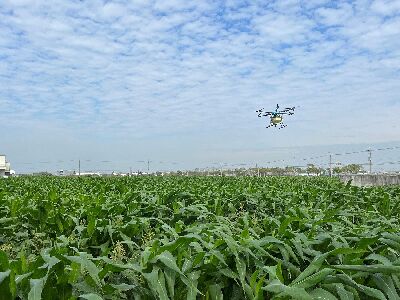 可於大面積田區執行天敵防治工作--將另開視窗看原圖