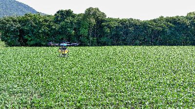 GPS定位無人機投放蜂球快速又精準--將另開視窗看原圖