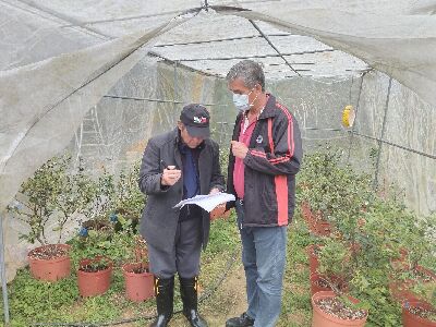 農友熱烈申請「原住民族農產運銷暨加值輔導計畫」--將另開視窗看原圖