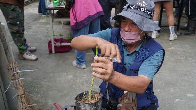 族人操作咖啡整枝修剪及嫁接--將另開視窗看原圖