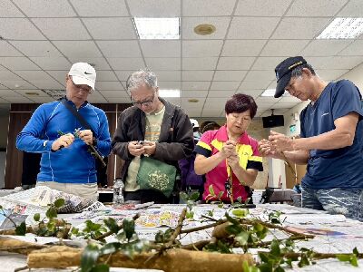 族人操作油茶嫁接--將另開視窗看原圖