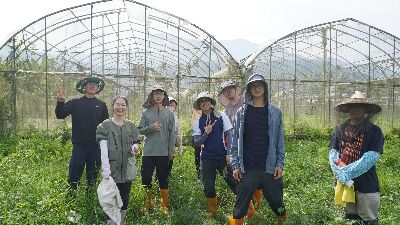 學員在江玉寶有機農場進行田間管理實作--將另開視窗看原圖