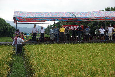 農改場研究團隊於示範稻田解說水稻栽培管理技巧，與農友進行更進一步的技術互動交流--將另開視窗看原圖