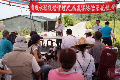 黃場長親自主持有機水稻綜合栽培管理及病蟲害防治示範觀摩會--將另開視窗看原圖