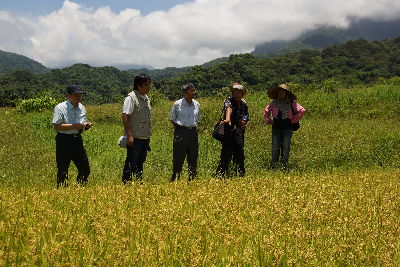曾信一農友與黃場長暢談有機水稻栽培技術心得與未來規劃--將另開視窗看原圖
