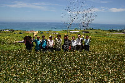 復耕有機成功讓靜浦部落農友與改良場輔導團隊一同豎起大拇指--將另開視窗看原圖