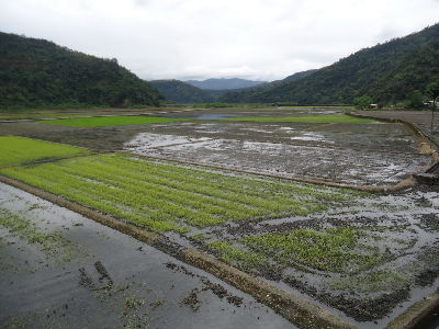 整地中的南安有機水稻專區--將另開視窗看原圖