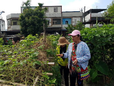 林惠美女士教大家認識野菜--將另開視窗看原圖