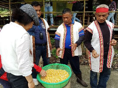 高廉松(中)介紹製作傳統玉米粥的硬質玉米--將另開視窗看原圖