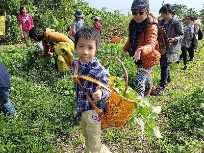 跟著媽媽一起參加的小朋友採了好多野菜，大呼真是太好玩、下次還要再來--將另開視窗看原圖