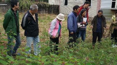 參觀部落農友種植的紅藜田--將另開視窗看原圖
