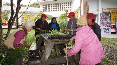 學習野菜繁殖--將另開視窗看原圖