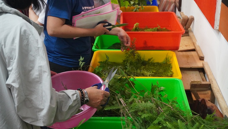 學員進行葉片處理