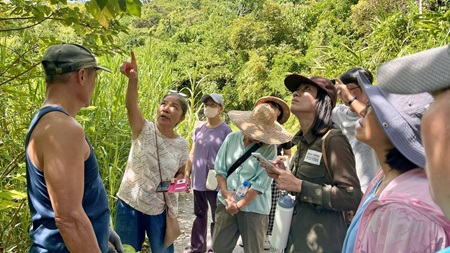 陳淑燕纖維藝術創作者進行森林步道植物導覽