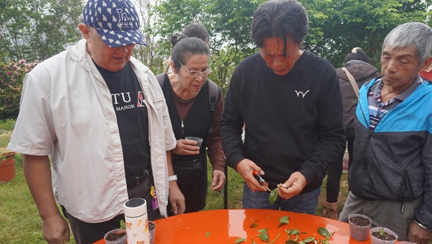 胡劉又齊班長在旁指導族人扦插要領