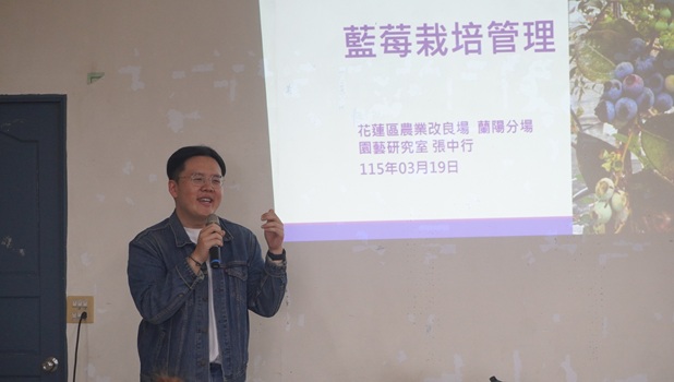 寒溪部落藍莓栽培管理班 花蓮區農業改良場張中行助理研究員介紹藍莓產業概況及基礎栽培管理技術