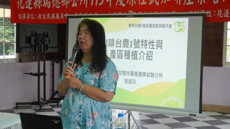 從品種到後製 花改場強化加納納部落咖啡栽培與後製技術 農業試驗所嘉義農業試驗分所張淑芬副研究員分享咖啡品種”台農1號”栽培習性及後製處理