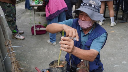 從品種到後製 花改場強化加納納部落咖啡栽培與後製技術 族人操作咖啡整枝修剪及嫁接