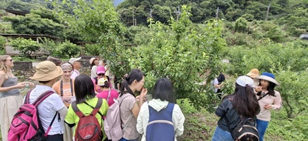 族人規劃採果體驗 吸引外地遊客消費