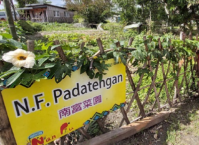 5.阿美族部落的菜園