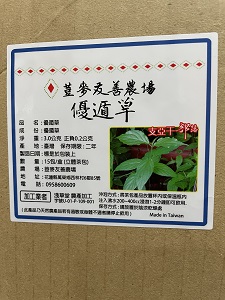 13生產優遁草茶包 開發保健市場