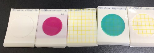 醃漬過程中以測片檢測7 種微生物數目
