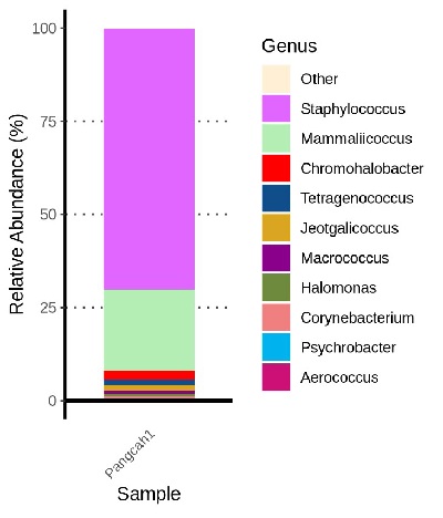 Siraw 成品次世代基因定序的菌相分析結果，未檢出梭狀芽孢桿菌（Clostridium）屬微生物（ 註： 肉毒桿菌學名為Clostridium