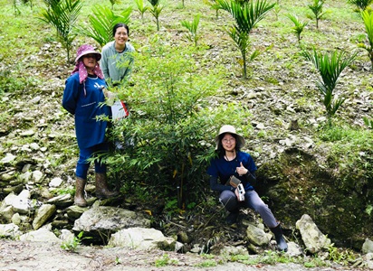 照片中之山胡椒為本場育苗，回歸部落後不到一年已長至180公分高且枝葉繁茂