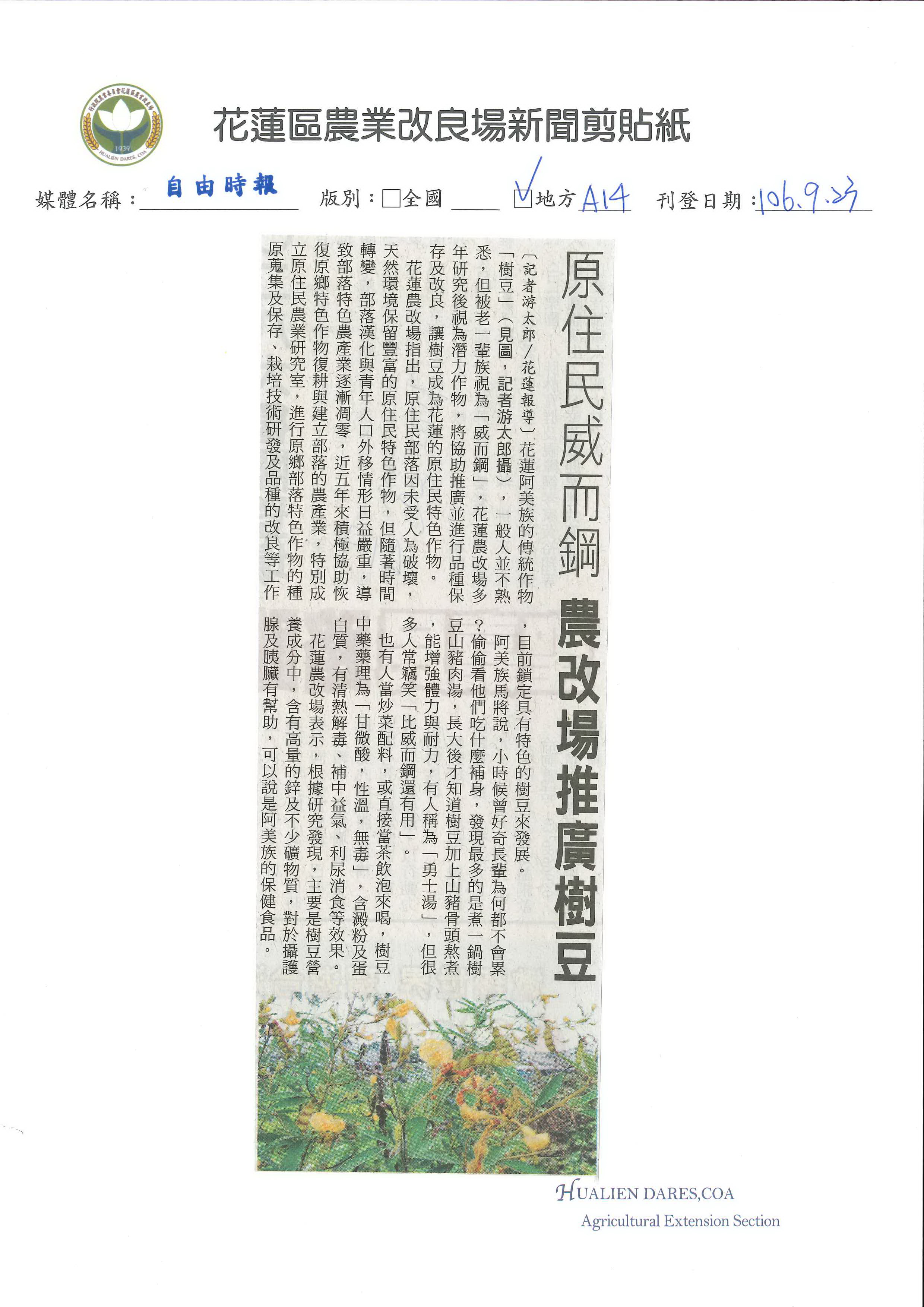 原住民威而鋼　農改場推廣樹豆-1060923自由時報