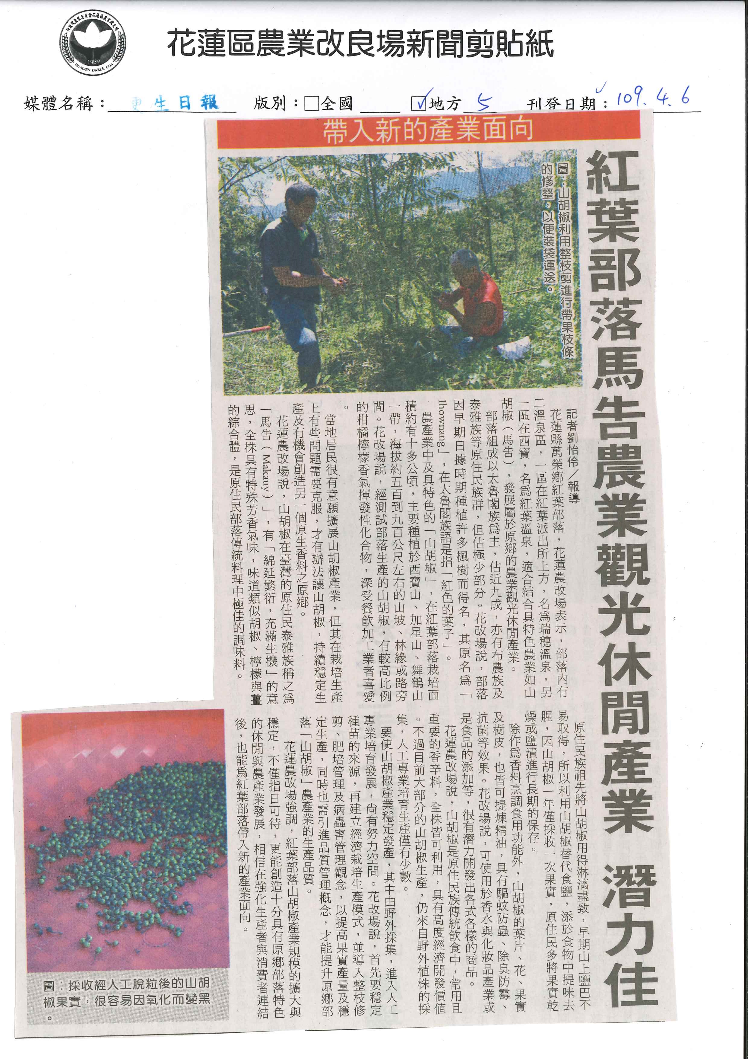 帶入新的產業面向 紅葉部落馬告農業觀光休閒產業 帶入新的產業面向 紅葉部落馬告農業觀光休閒產業