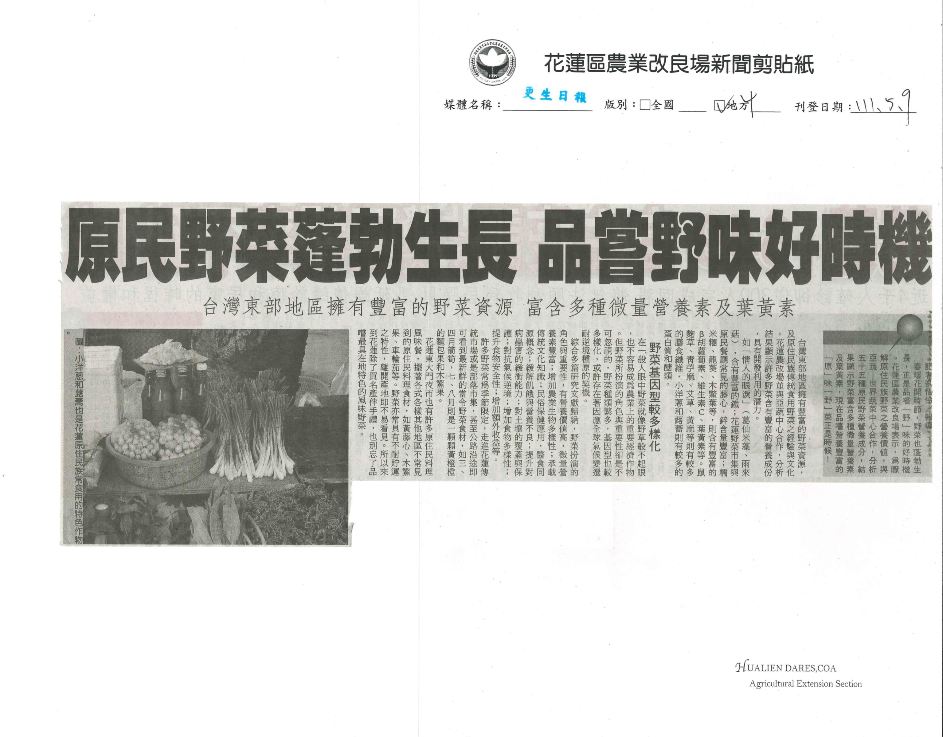 原民野菜蓬勃生長  品嘗野味好時機-1110509更生日報