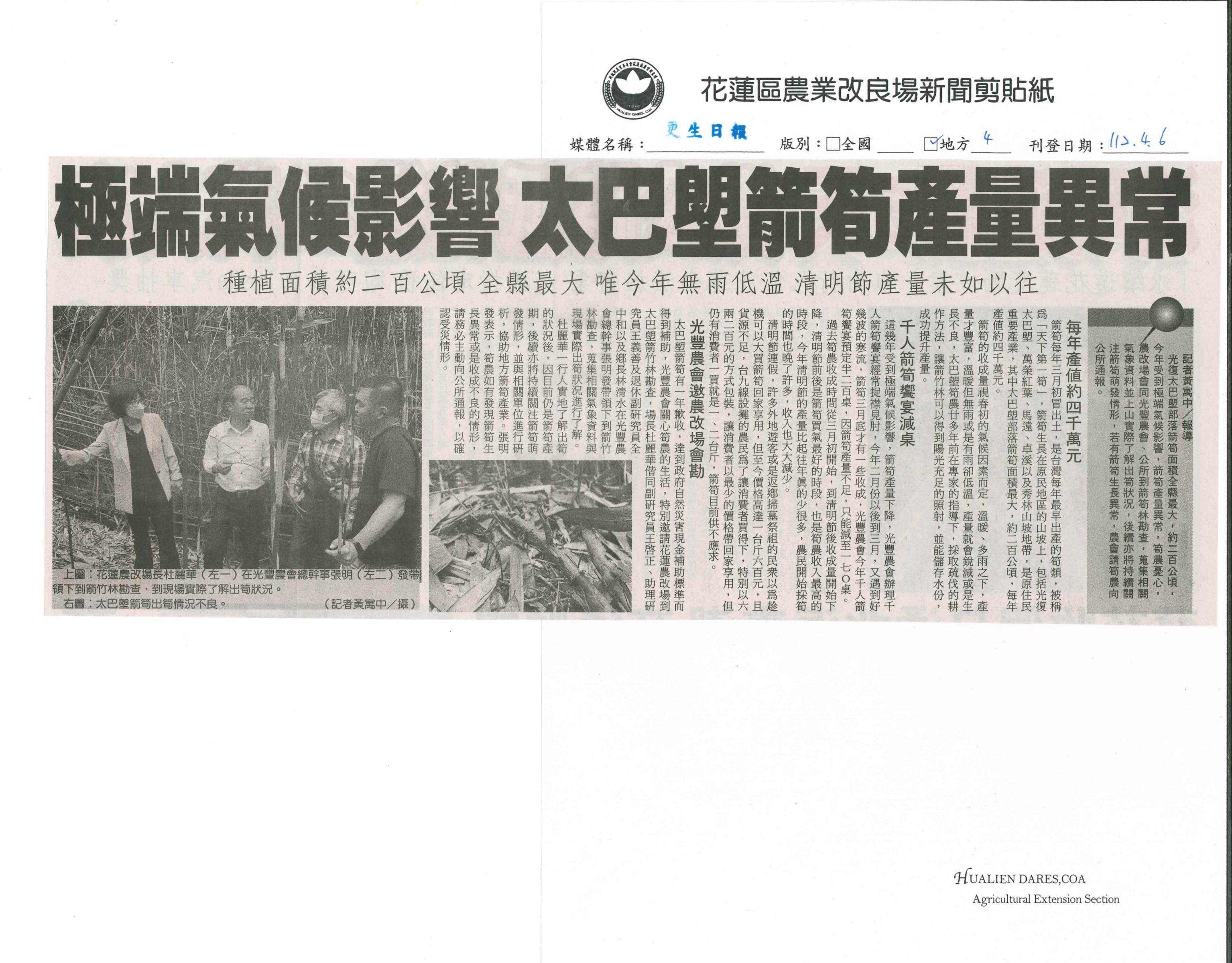 極端氣候影響 太巴塱箭筍產量異常-1120406更生日報 極端氣候影響 太巴塱箭筍產量異常-1120406更生日報