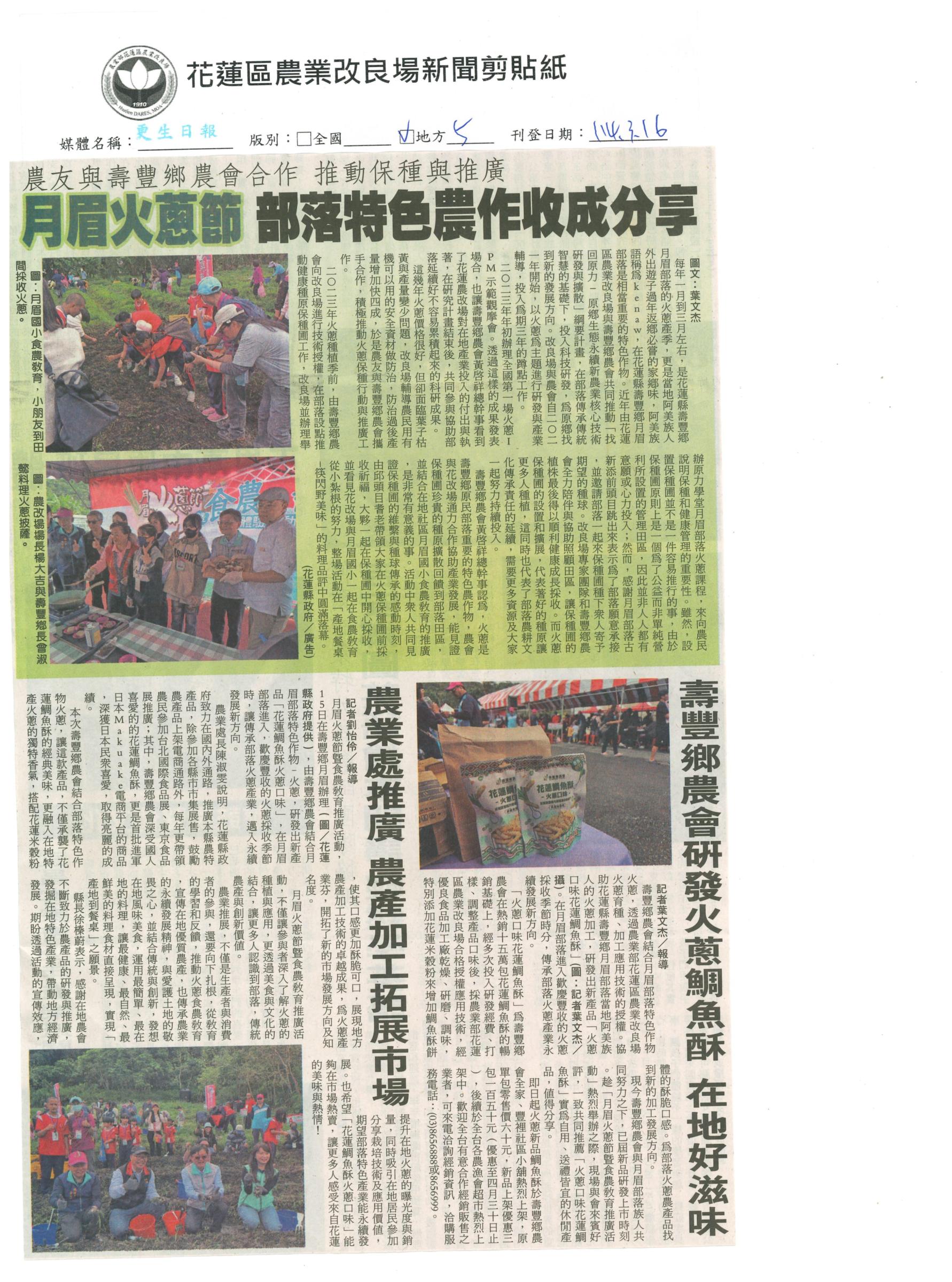月眉火蔥 部落特色農作收成分享-1140316更生日報