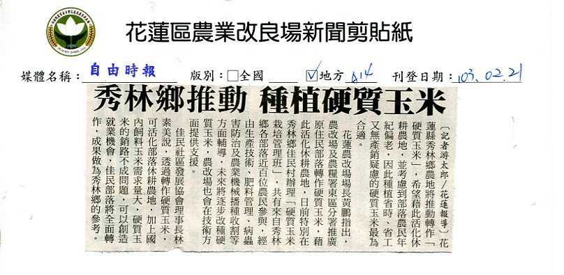 秀林鄉推動種植硬質玉米