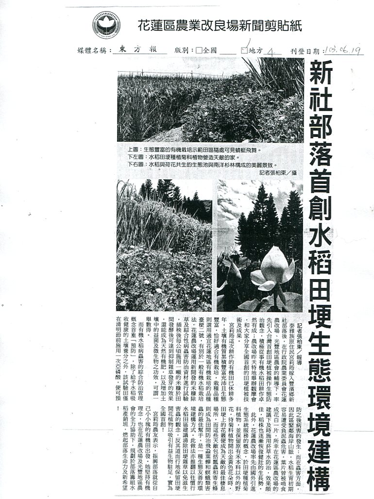 新社部落首創水稻田埂生態環境建構