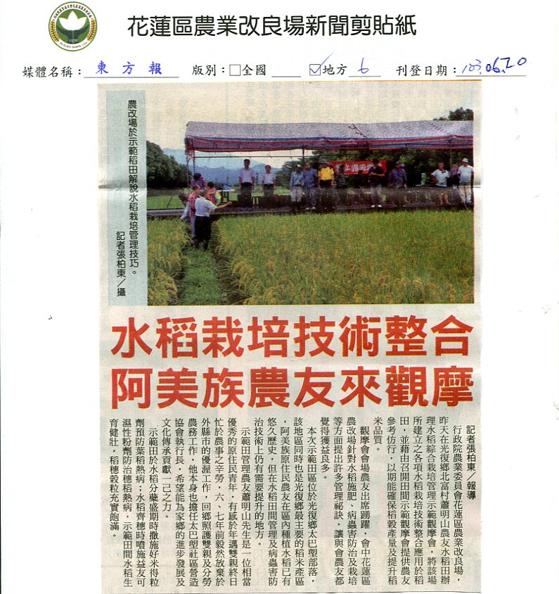 水稻栽培技術整合 阿美族農友來觀摩