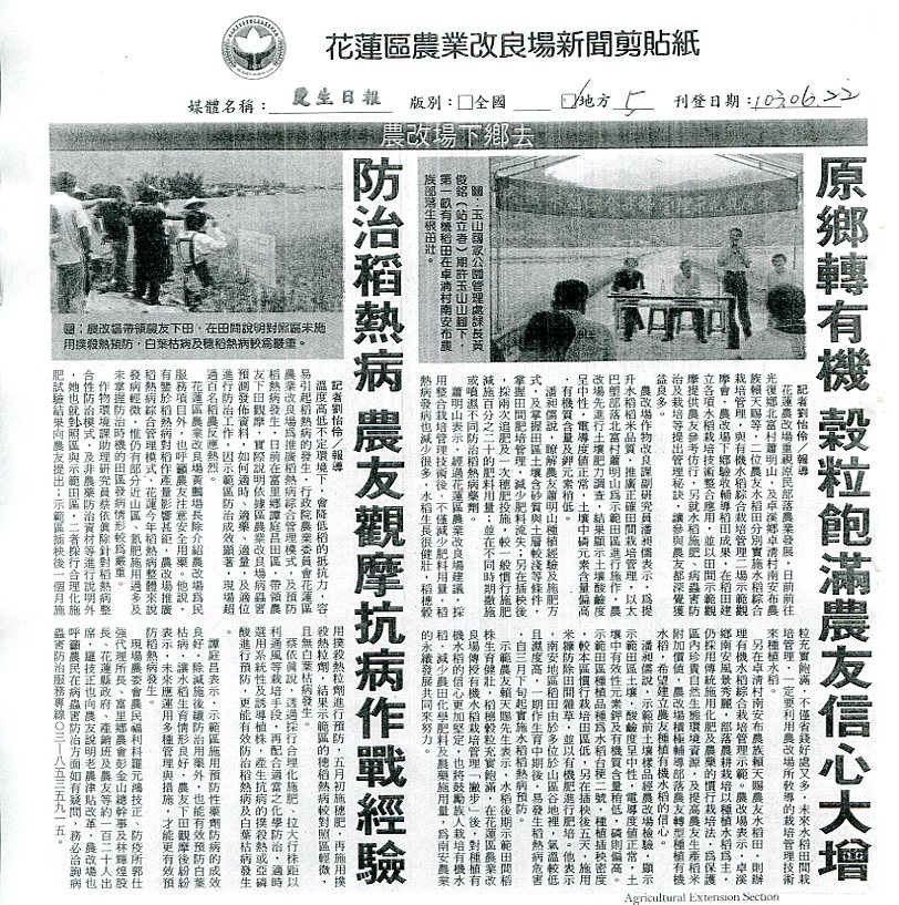 原鄉轉有機穀粒飽滿農友信心大增