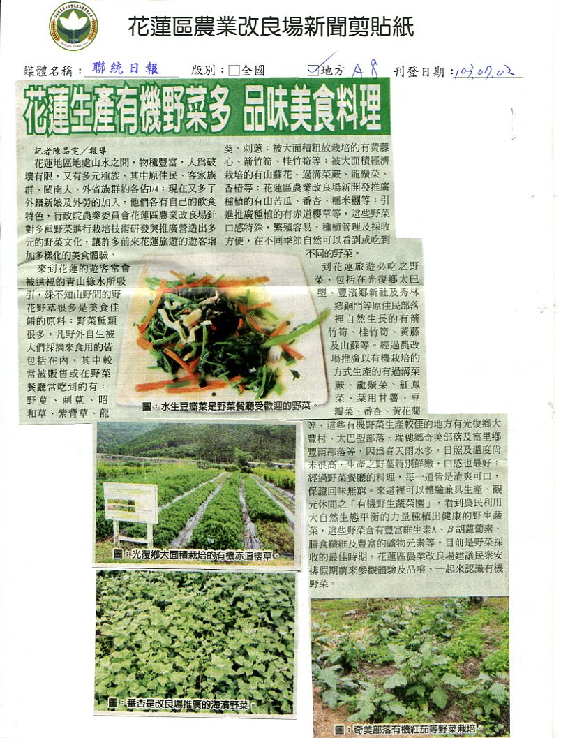 花蓮生產有機野菜多 品味美食料理