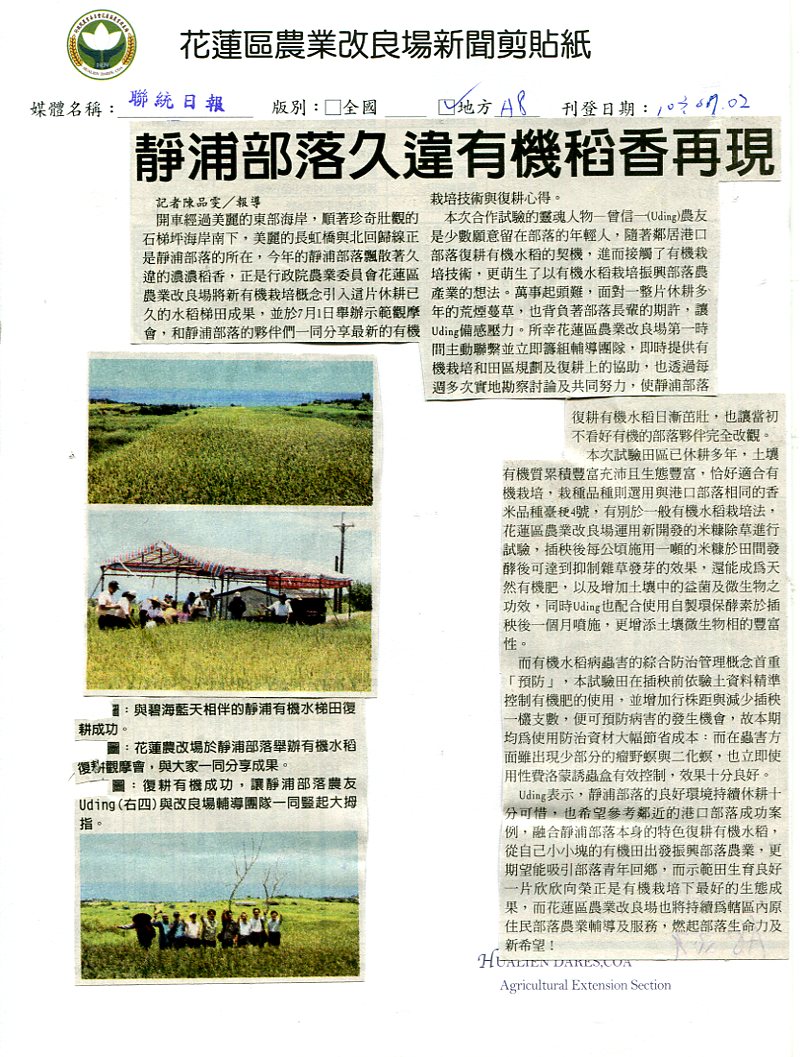 靜浦部落久違  有機稻香再現