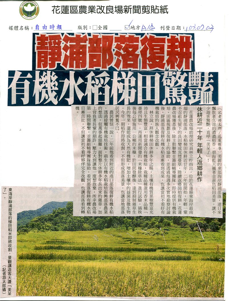 靜浦部落復耕  有機水稻梯田驚豔
