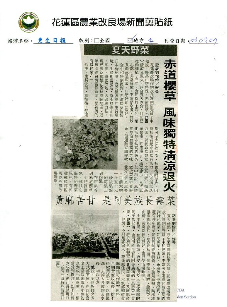 夏天的野菜 赤道櫻草風味獨特清涼退火 夏天的野菜 赤道櫻草風味獨特清涼退火