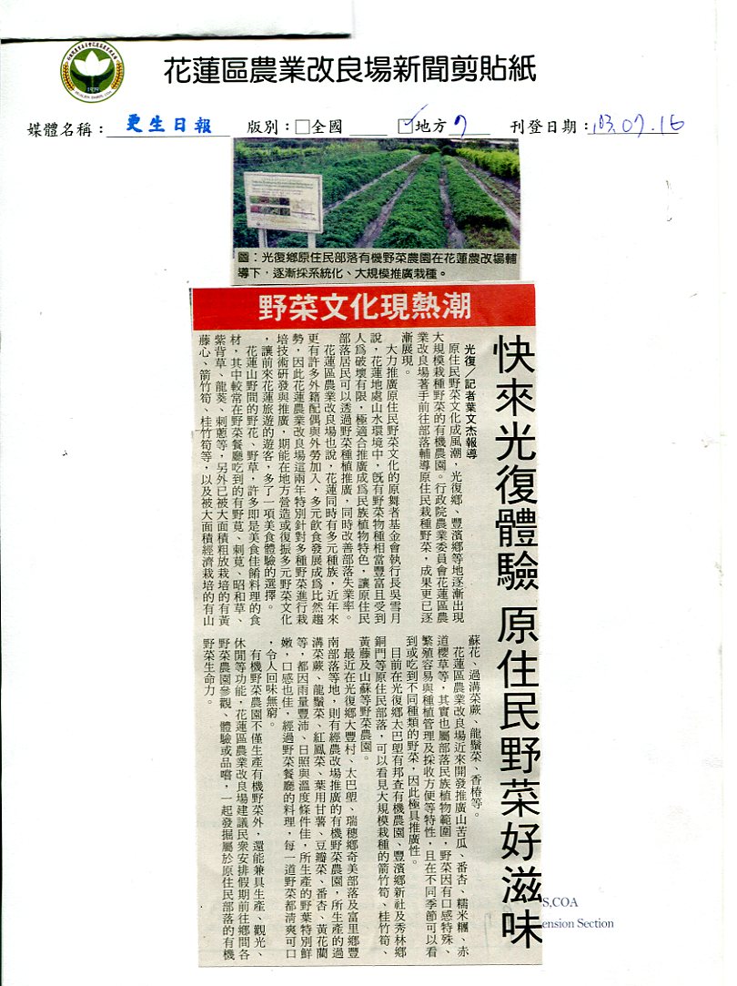 快來光復體驗原住民野菜好滋味