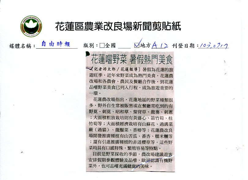 花蓮嚐野菜暑假熱門美食