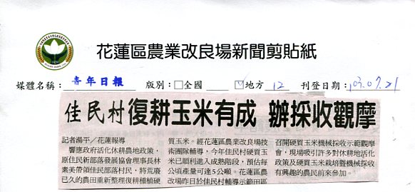 佳民村復耕玉米有成辦採收觀摩