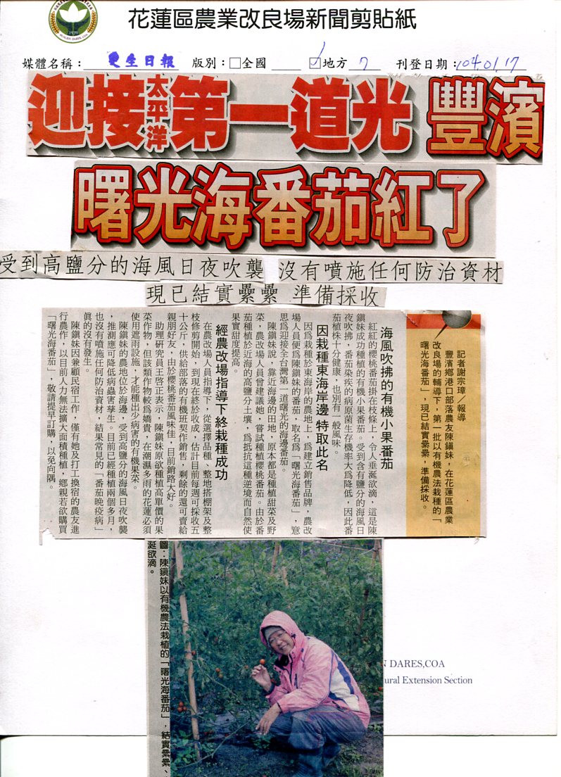 迎接太平洋第一道光-豐濱曙光海番茄紅了