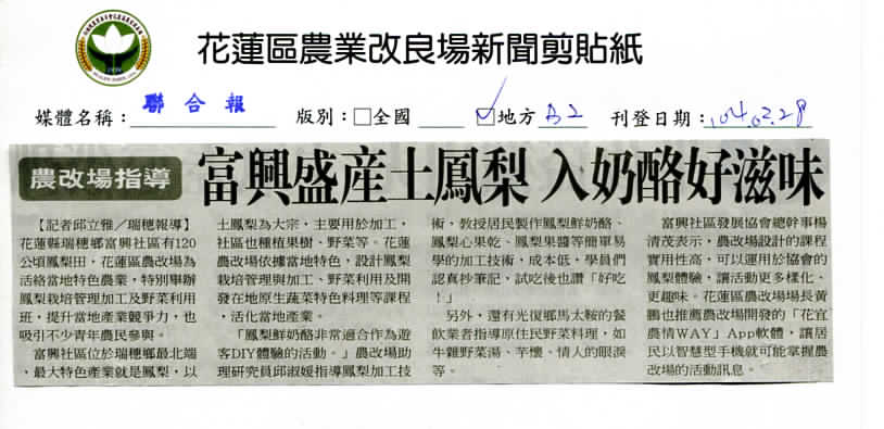 農改場指導　富興盛產土鳳梨　入奶酪好滋味