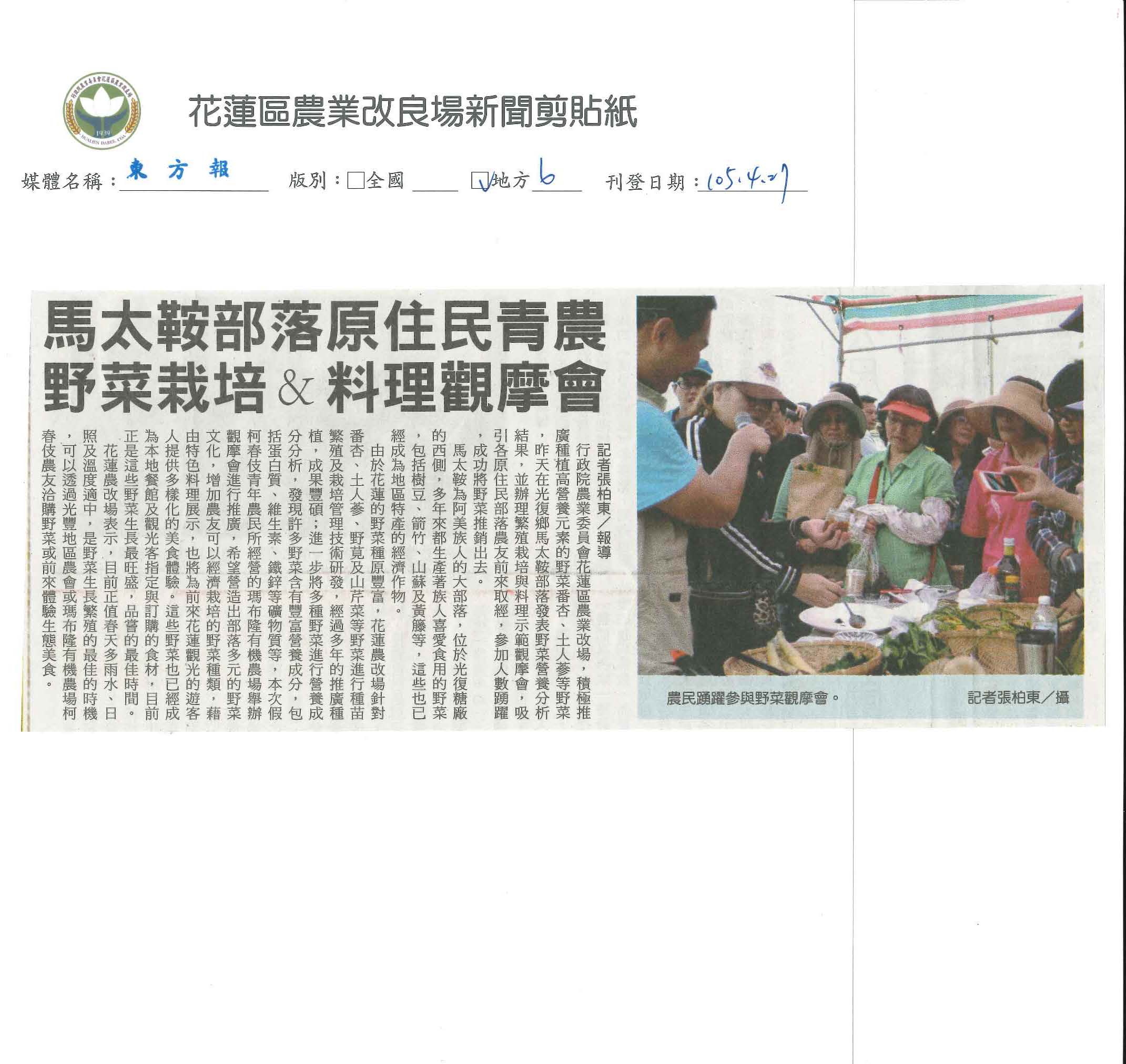 馬太鞍部落原住民青農　野菜栽培＆料理觀摩會-1050427東方報